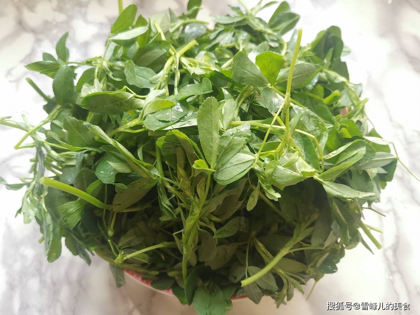 提提菜野菜图片