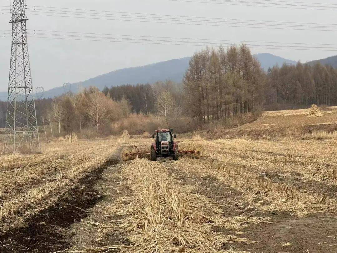 蛟河市这个镇秸秆离田还田面积已达931