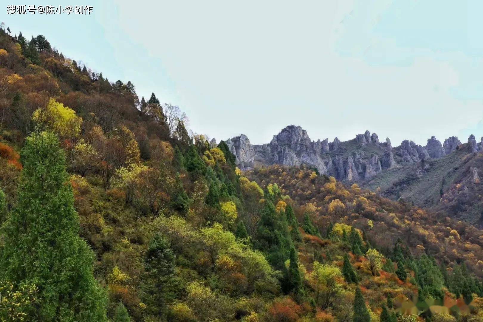 原创北山国家森林公园色彩与自然相辉映层林尽染的景色真美
