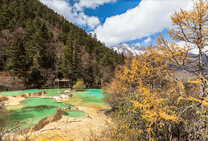 成都峨眉山5日游旅游攻略要多少费用九寨沟景区纯玩五日行程规