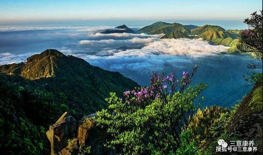 口,千年来屹立不倒成为远近闻名的象征仰山栖隐禅寺唐会昌元年(841年)