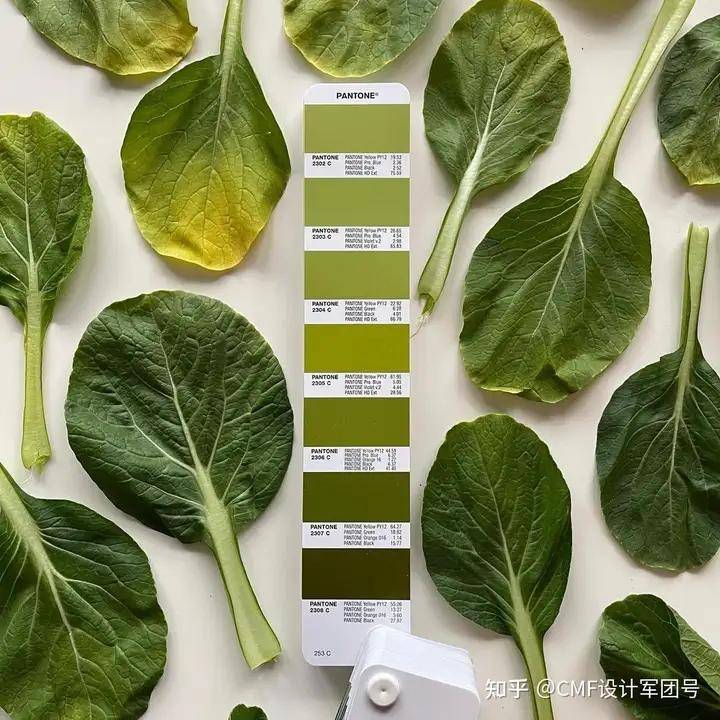 绿色食物,通常指的是那些富含叶绿素和其他有益营养素的食品,主要包括