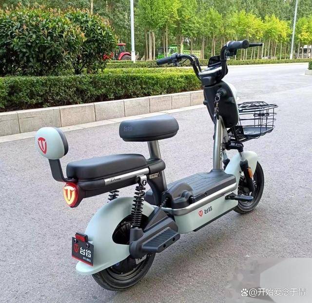 山东曝光不合格电动车九号台铃立马上黑榜购车必读