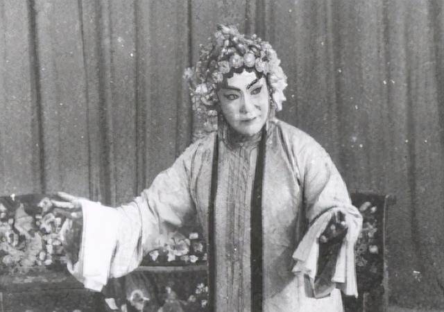 被5位总统追求《关雎》中曾经有几句话"关关雎鸠,在河之洲,窈窕淑女