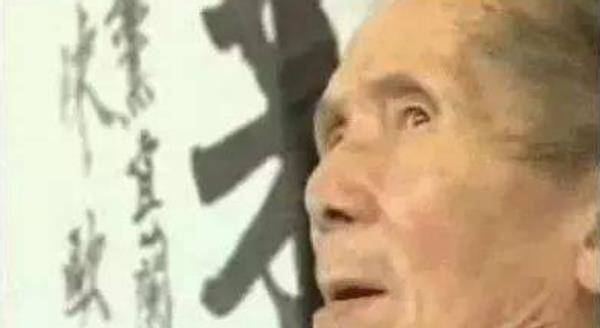 谁说悲催的童年,不能成为众人瞩目的焦点?