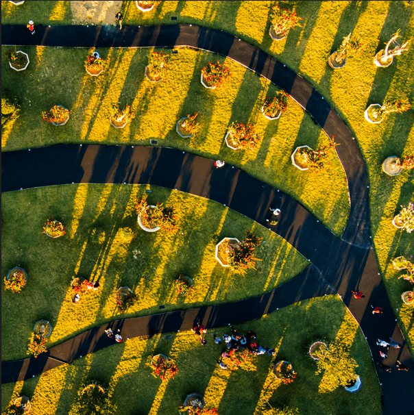 工农旅三业齐飞花都赤坭高质量打造绿美乡村