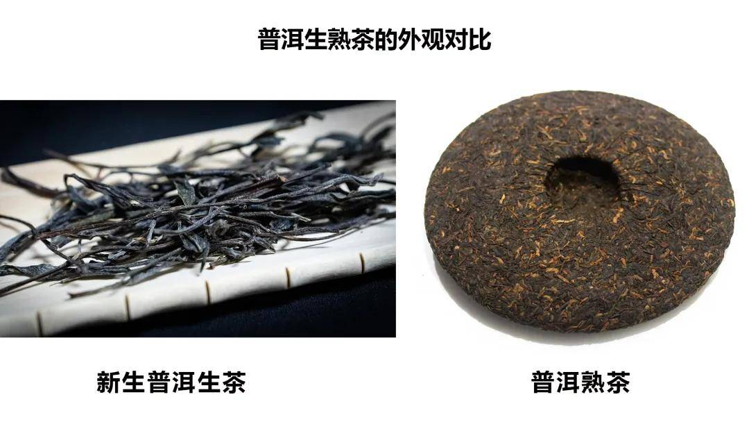 普洱茶生茶熟茶的区别