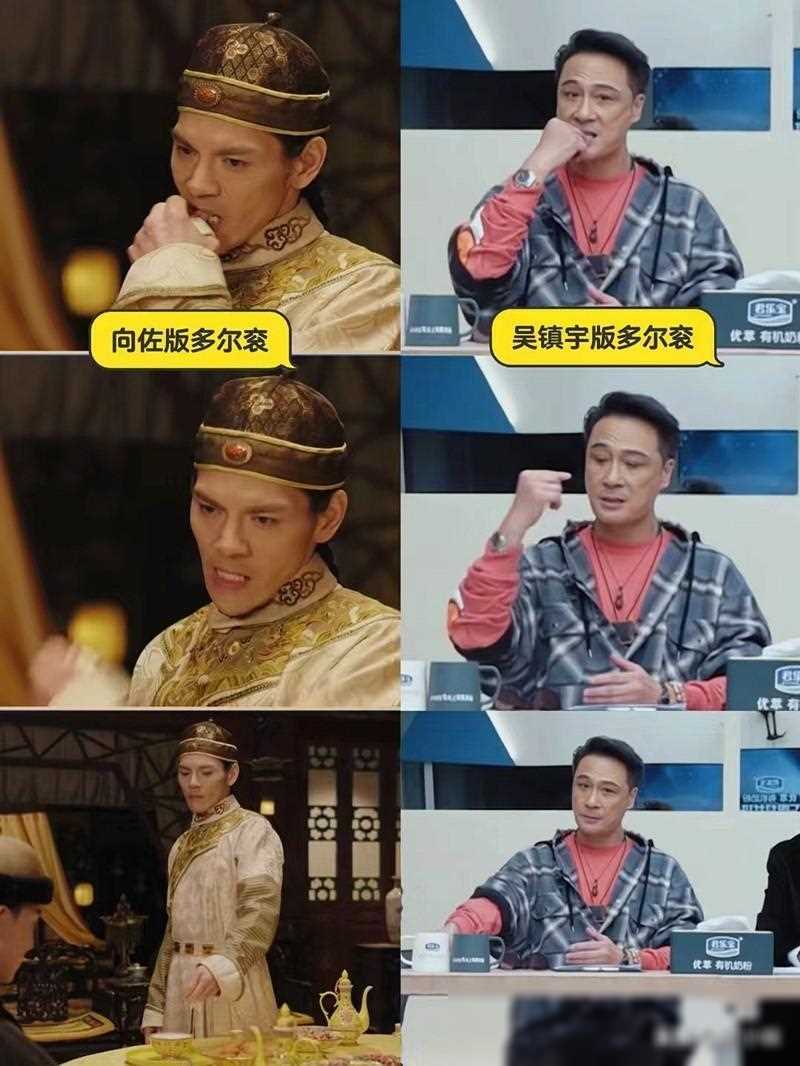 向佐演绎多尔衮引争议演技遭群嘲宁静表情展现人情世故