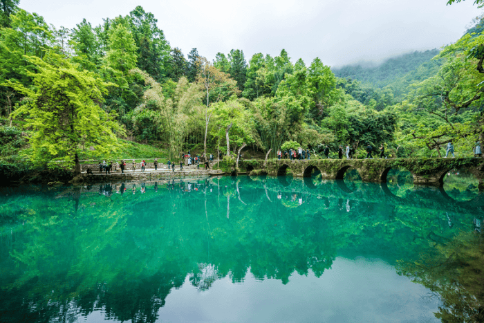 旅游景点可以推荐,贵州旅游梵净山价格是多少,收藏_山峰_大自然_景区