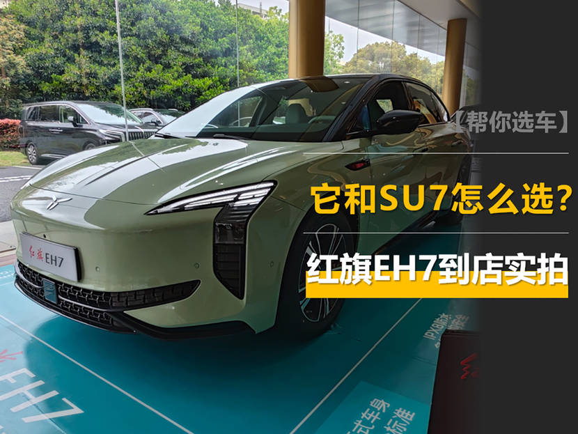 logo经过重新设计,不再是燃油车上的红色旗标,个人认为原来的旗标更好