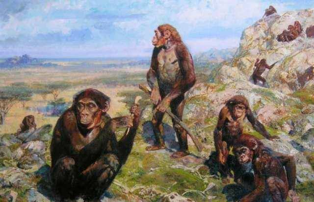 从进化论上说白种人的体型为什么比亚洲人中国人高大