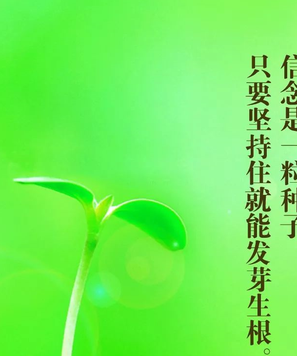 早安语录励志正能量经典短句大全