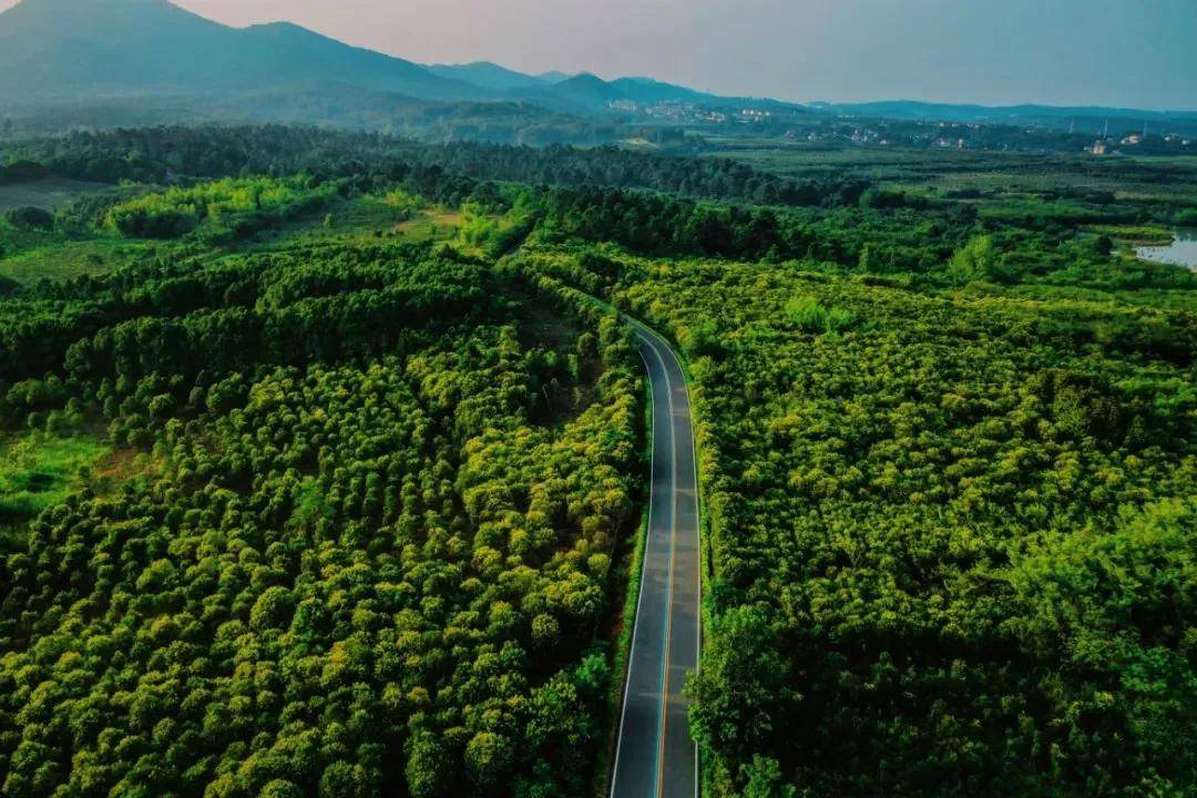 常州环球融创曹山未来售楼电话〢楼盘详情〢区域配套〢户型解析〢24