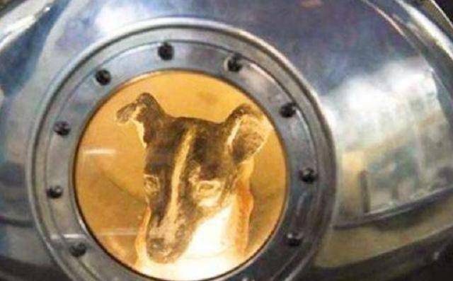 宇航狗莱伊卡64年前进入太空时遭逢大变后来如何了