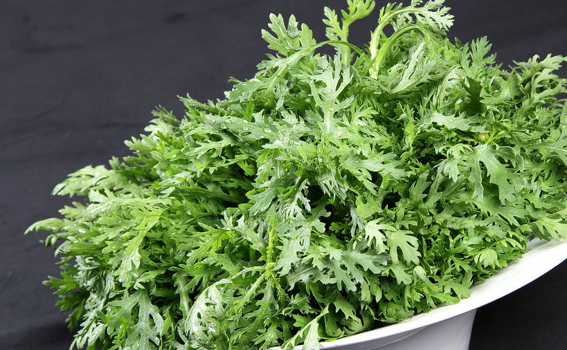 原创茼蒿很常见的一道菜但你有深入了解过它吗茼蒿这7点很重要