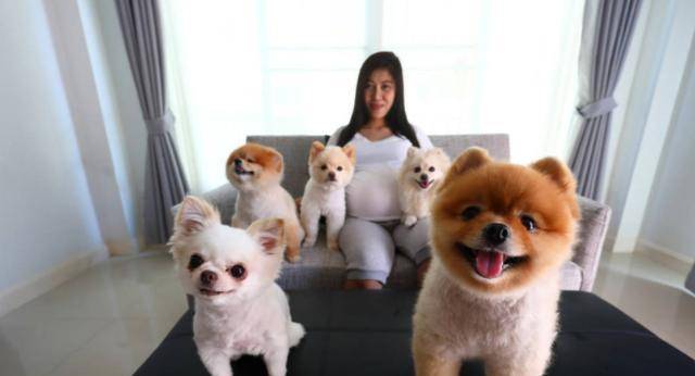 好男不养猫好女不养狗女人养狗久了会怎样男人要懂