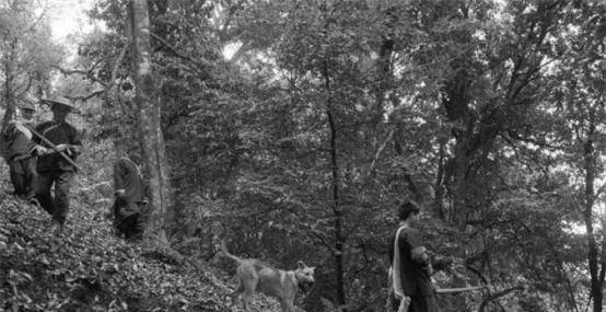 一生打死305只老虎,到死也不透露秘药配方_猎虎_我国_弓箭