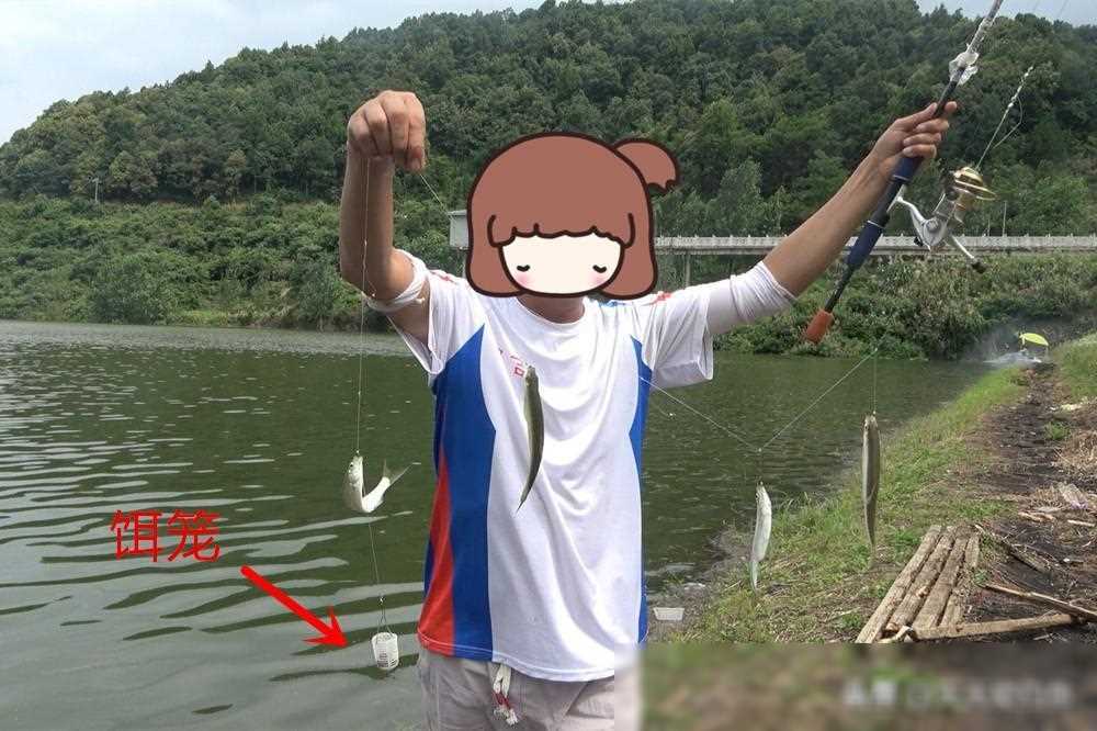 野钓白条鱼,轻松掌握4种技巧,让你轻松半天钓半桶!