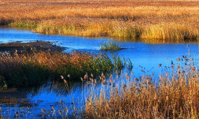原创北京秋游好去处风景秀丽芦苇飘荡门票免费适合自驾
