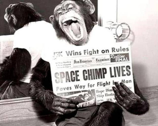 1961年美国把一只3岁的黑猩猩送入太空猩猩的结局让人心酸