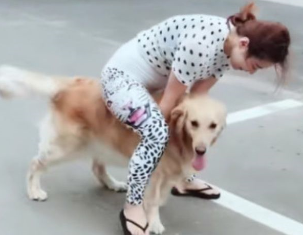 二货主人骑在狗狗身上,汪灵机一动,逃脱后这眼神亮了