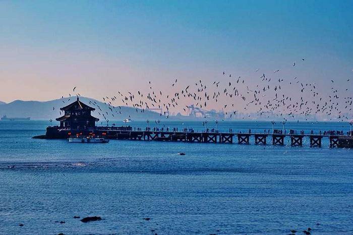 青海去青岛旅游团价格?人均只要1200!经历分享!