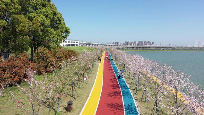 看新城春日文旅盛,风景赛湖独好