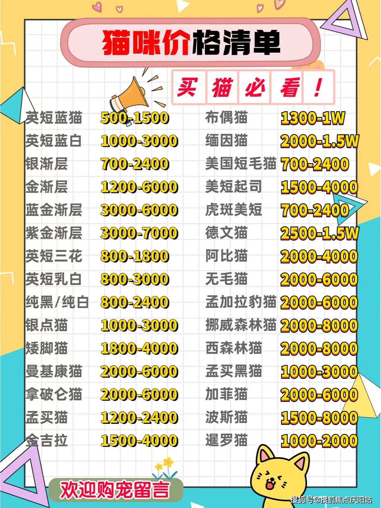 昆明买银渐层猫首页网站丨昆明官渡区银渐层猫多少钱一只