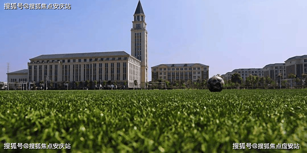 张堰幼儿园,百年学府张堰小学,张堰中学铺就孩子求学第一步,售楼处