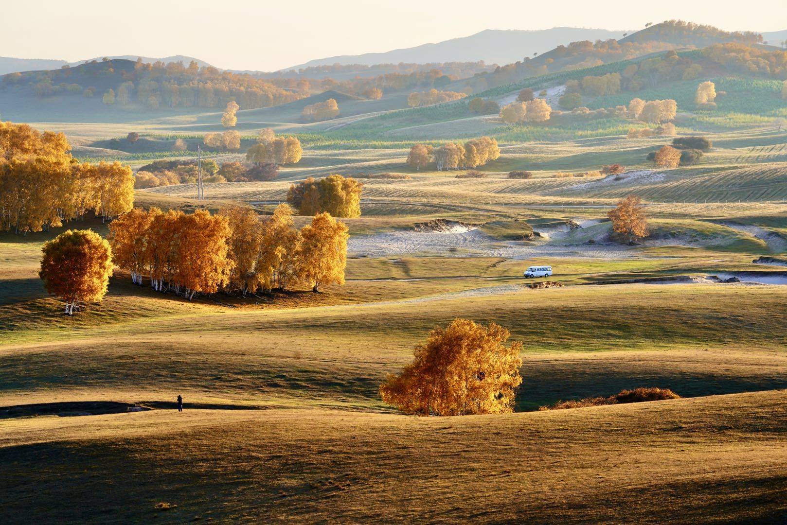1,烤全羊,烤羊排,烤羊腿,手把肉:呼伦贝尔各市区/草原景区2,冰煮羊