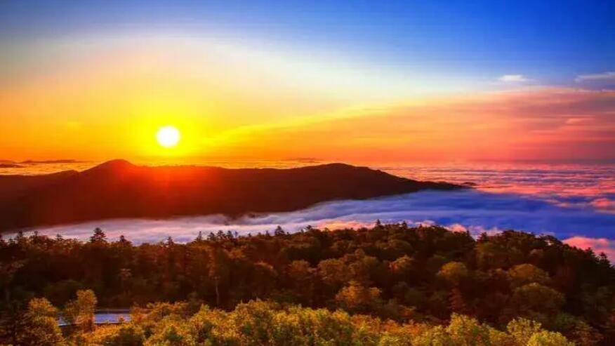 黑龙江虎林市荣获"中国最佳红色文化旅游名城"荣誉