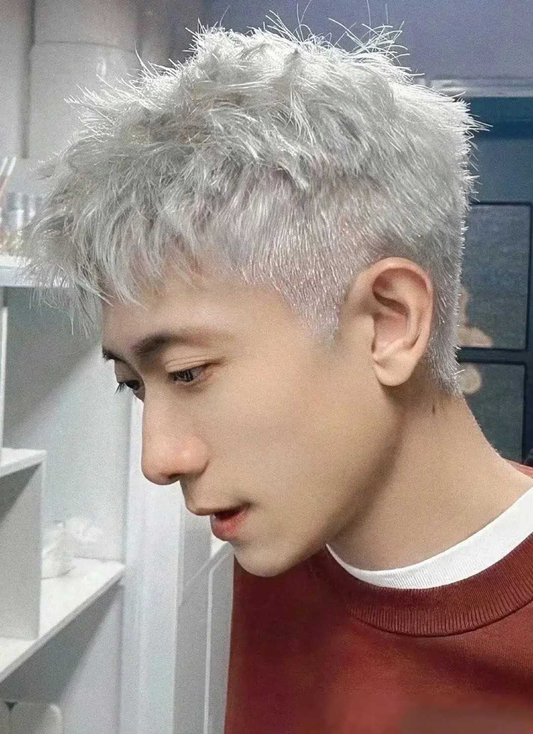 张一山银发造型引热议,网友纷纷调侃:不染绿发可惜了!