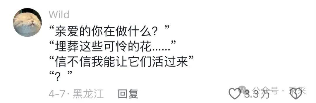 ▼伏黛cp 冷门但世人皆知的cp2房屋中介,松下守纱,九才合子,在日华子