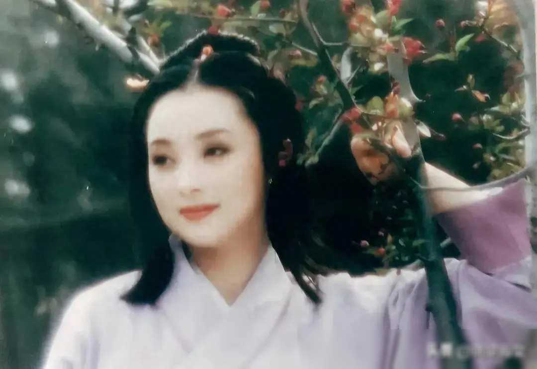 董智芝近照曝光,现年岁容颜依旧