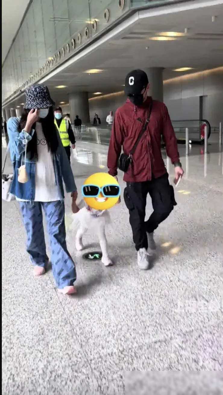 郑恺苗苗携女儿现身机场,苗苗手牵女儿,郑恺独自推四个箱子