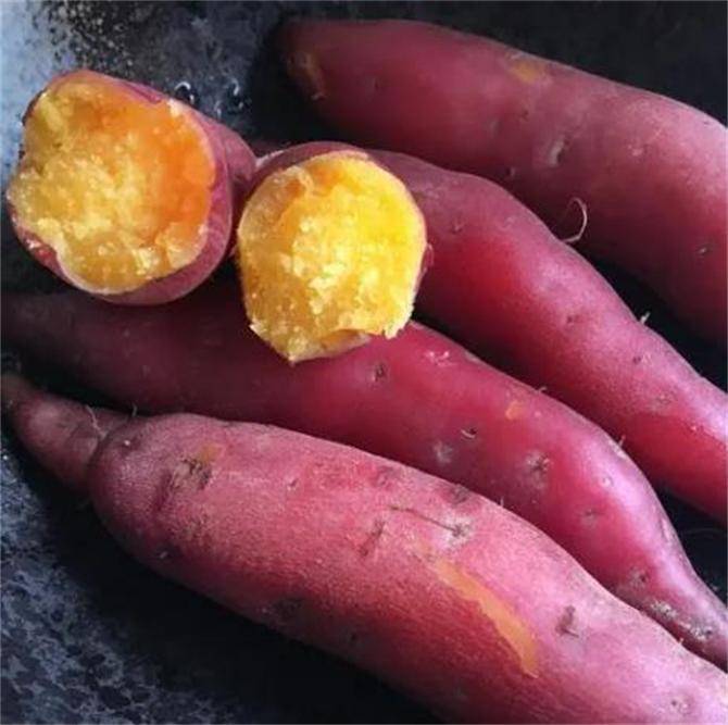 不同品种的红薯到底怎么吃?