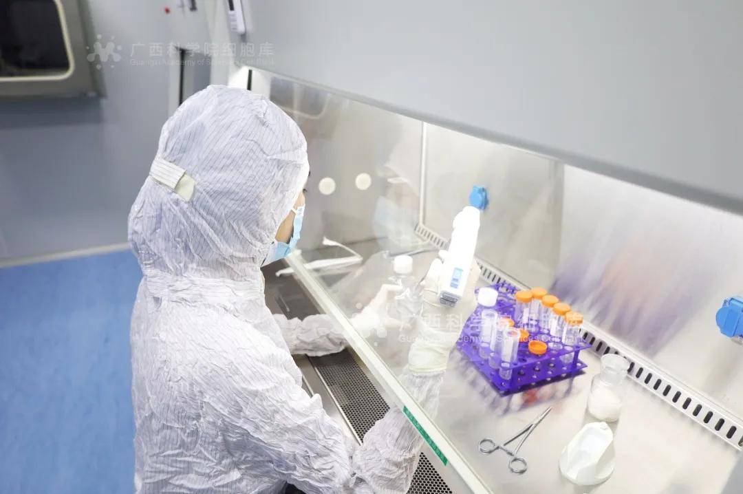第16届孕博会|实现双增长,广西科学院细胞库圆满收官!