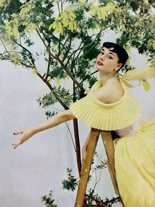 31年过去了,我们依然怀念奥黛丽·赫本的美