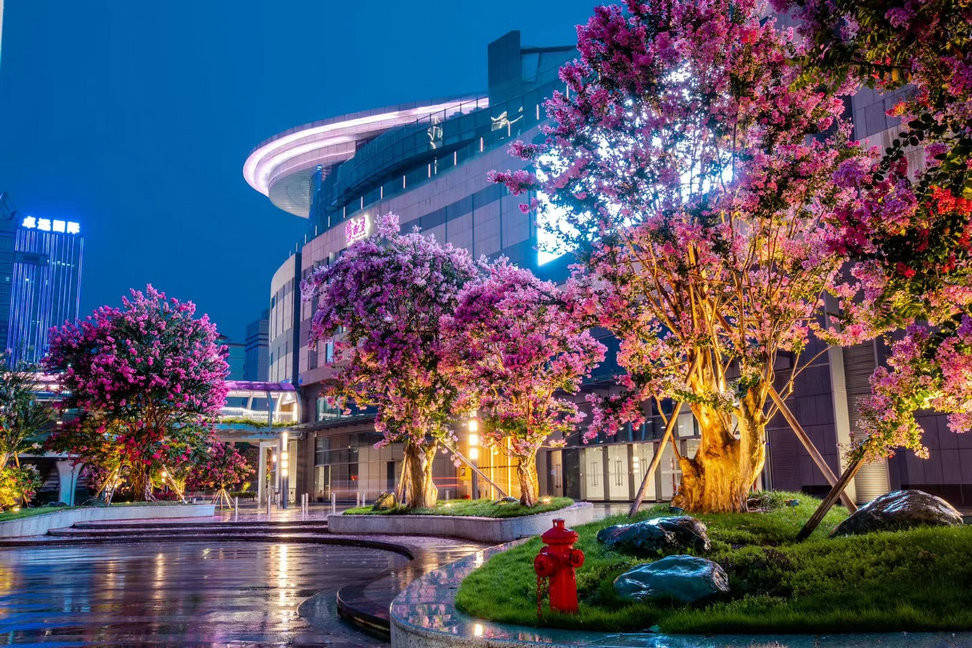 从江门市到香港澳门旅游攻略及费用!人均仅1000!亲身经历分享!