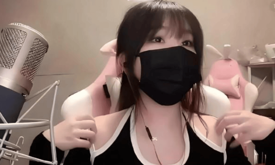 批捕!小团团涉案金额4800万,网友:我的导航语音包_直播_消息_网络