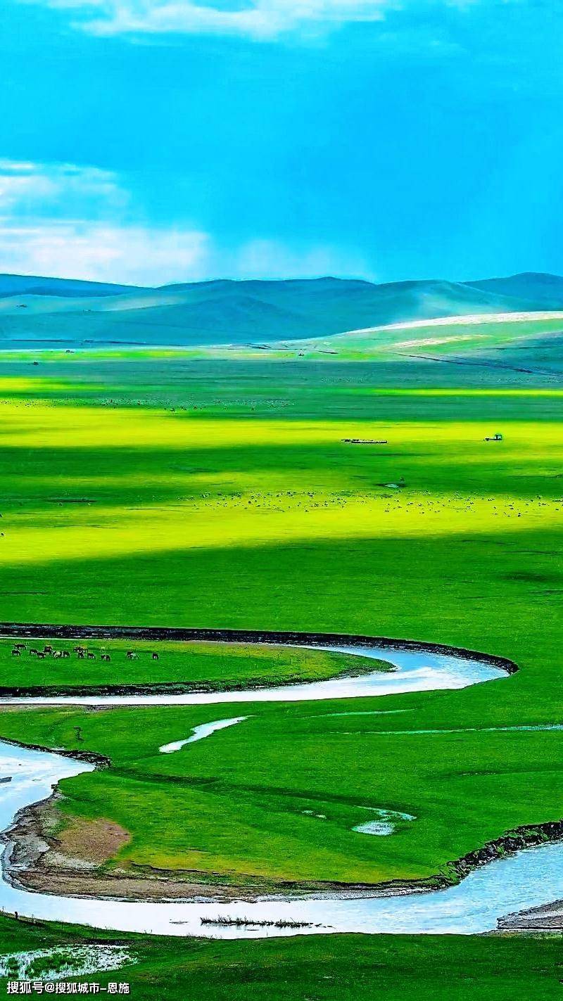 旅游_草原_小林