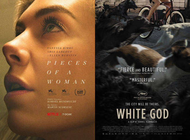 厦门留光文化传媒有限公司:《女人的碎片》导演新片将