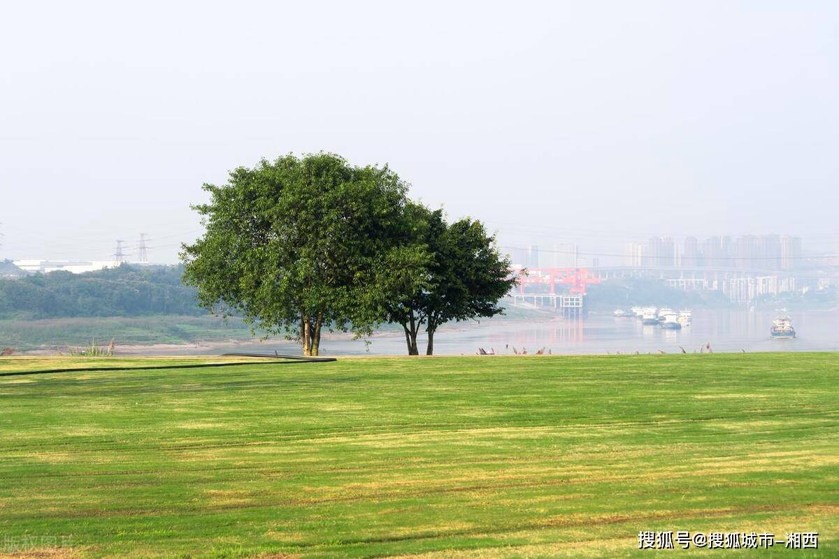 重庆广阳岛公园图片