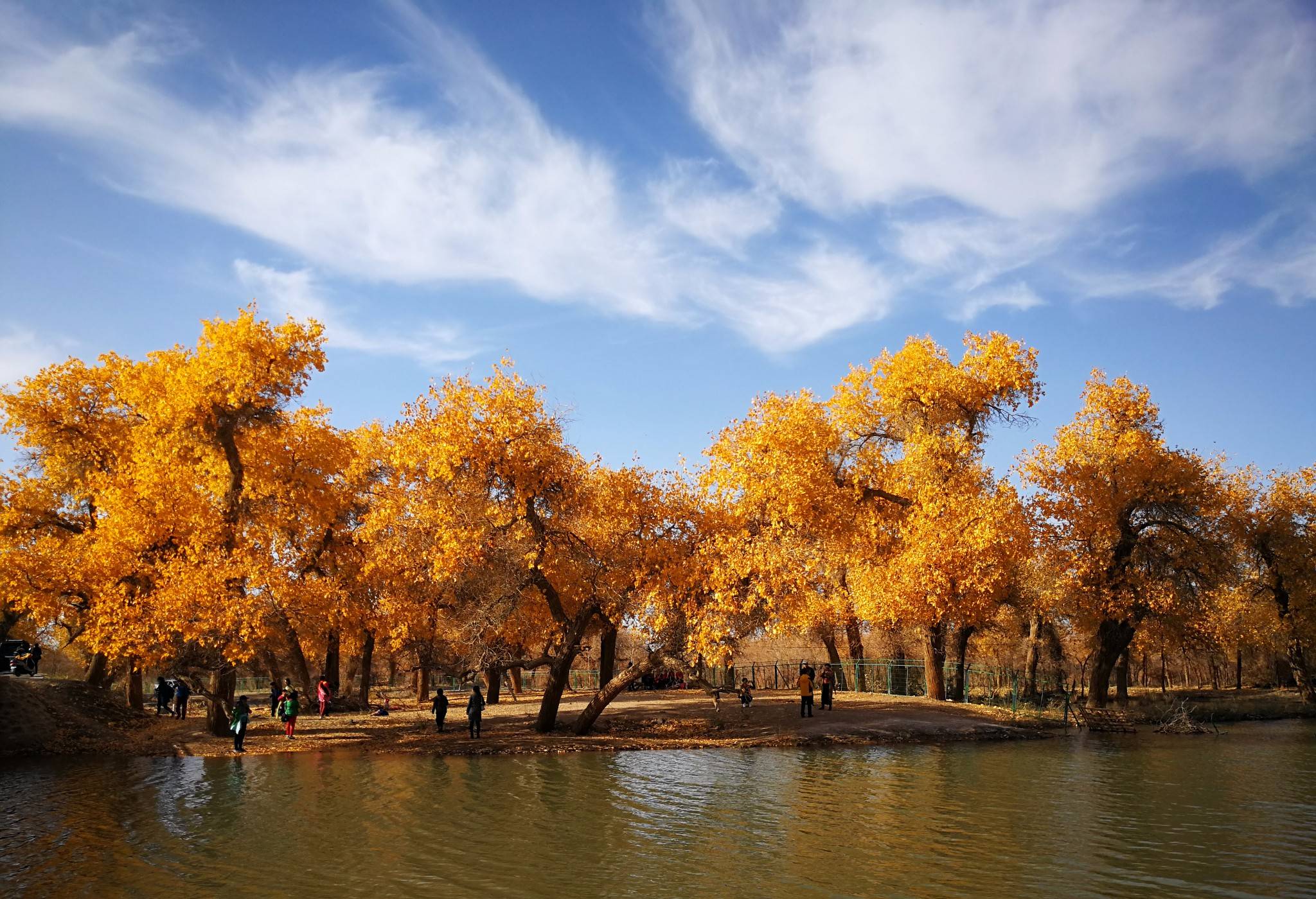 熬夜总结!内蒙旅游