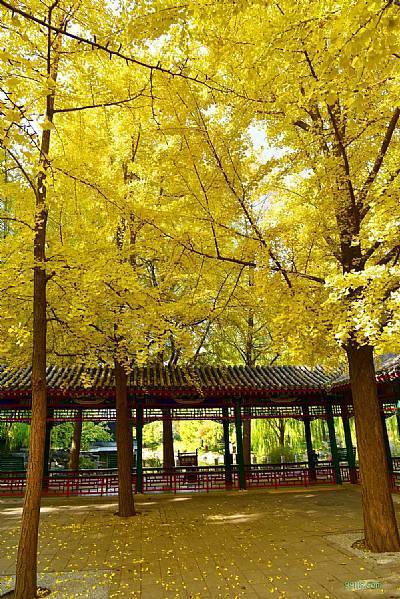 超级实用!北京旅游吃住行一站式