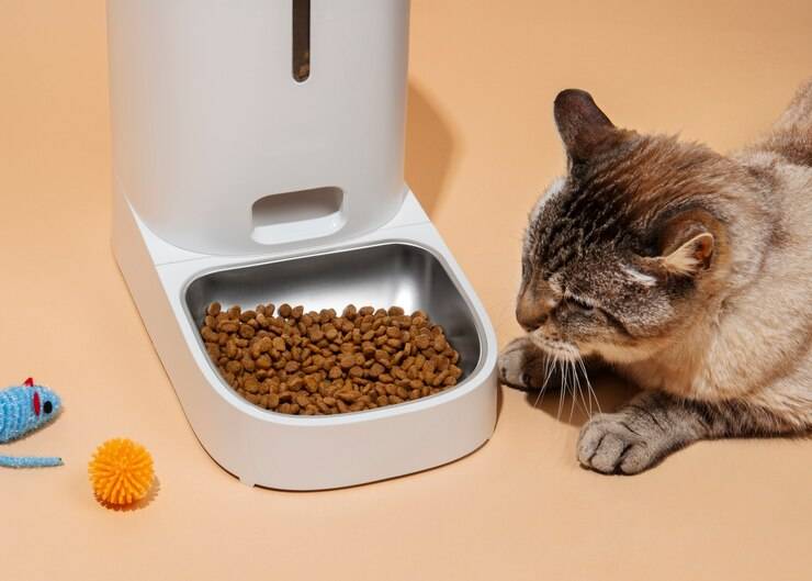 怎么判断猫咪是否喜欢这一款猫粮 猫咪遇到喜欢猫粮会有什么表现