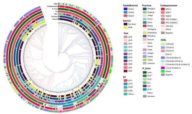派森诺项目文章 | 高毒耐药肺炎克雷伯菌完成图助力人群流行病学研究