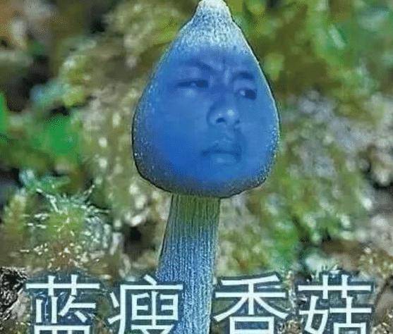 广西小哥因失恋,一句"蓝瘦香菇"红遍网络,如今他现在怎么样?