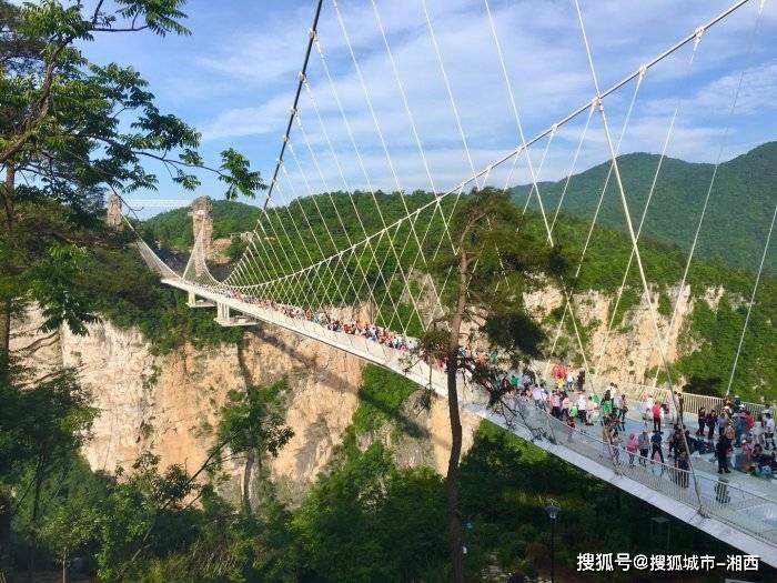 张家界旅行四到五天,自由行好还是跟团好,不走回头路_景点_玻璃_菲菲