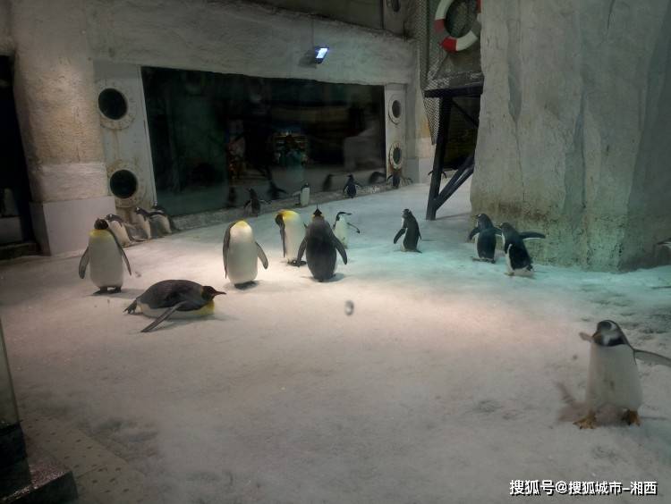 大连主要景点有:发现王国,老虎滩海底世界,军巷公园,太阳沟景区,鱼人